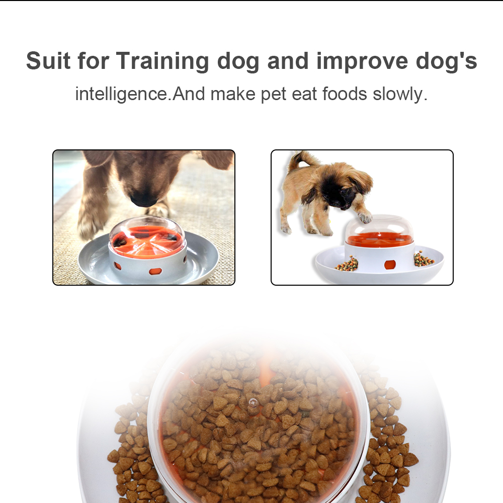 Cuenco dispensador de OVNI par - Royal Canin Food Medium reseña y precio