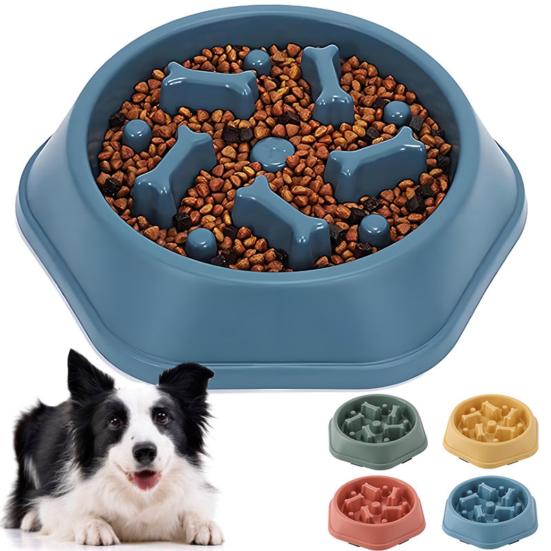 Tazón de alimentación lenta pa - Royal Canin Food Medium reseña y precio