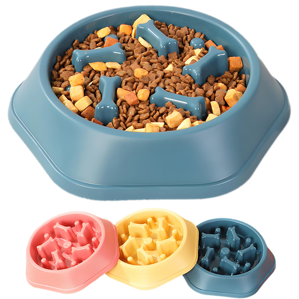 Tazón de alimentación lenta pa - Royal Canin Food Medium reseña y precio