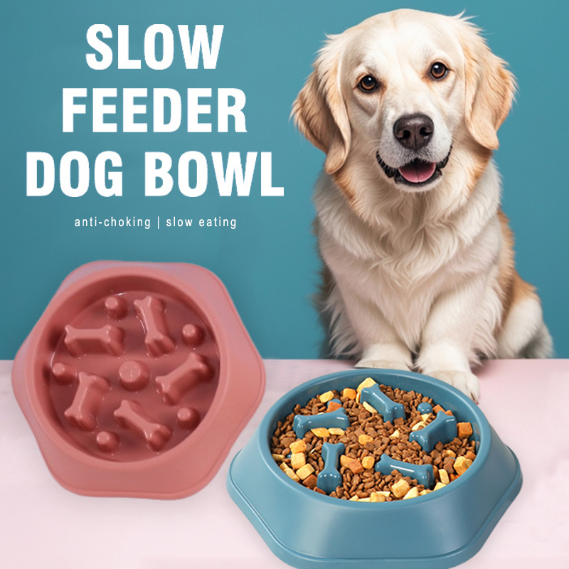 Tazón de alimentación lenta pa - Royal Canin Food Medium reseña y precio