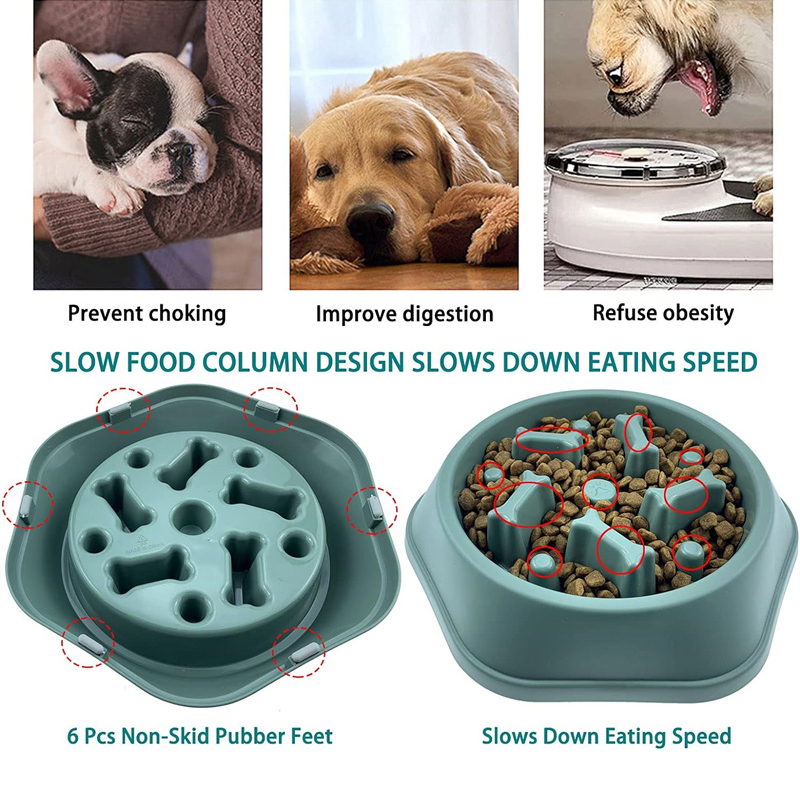 Tazón de alimentación lenta pa - Royal Canin Food Medium reseña y precio
