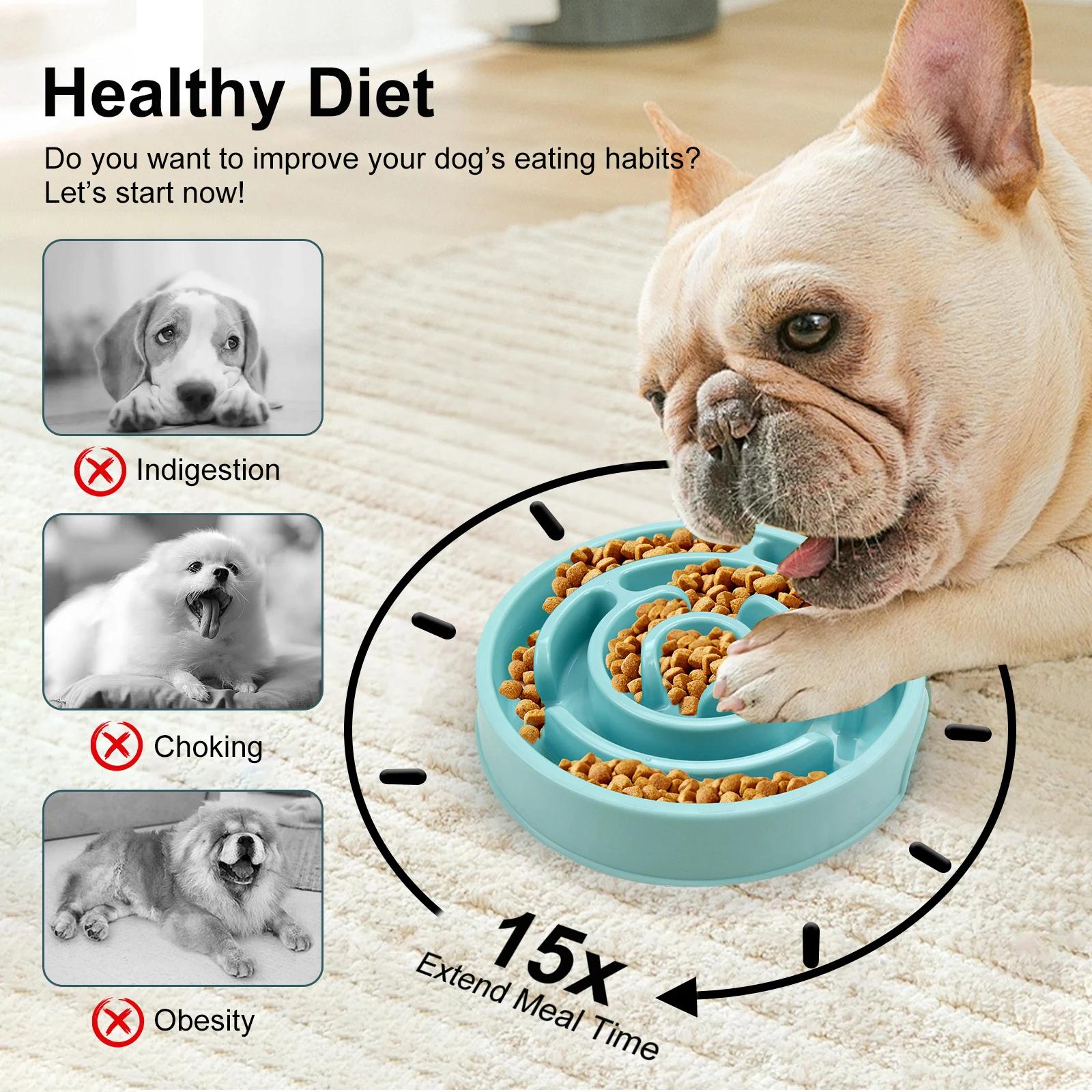 Comedero lento para perros, di - Royal Canin Food Medium reseña y precio